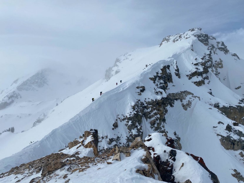 movement alp tracks 100 - ski mountaineering demands versatility of your skis, at a light...