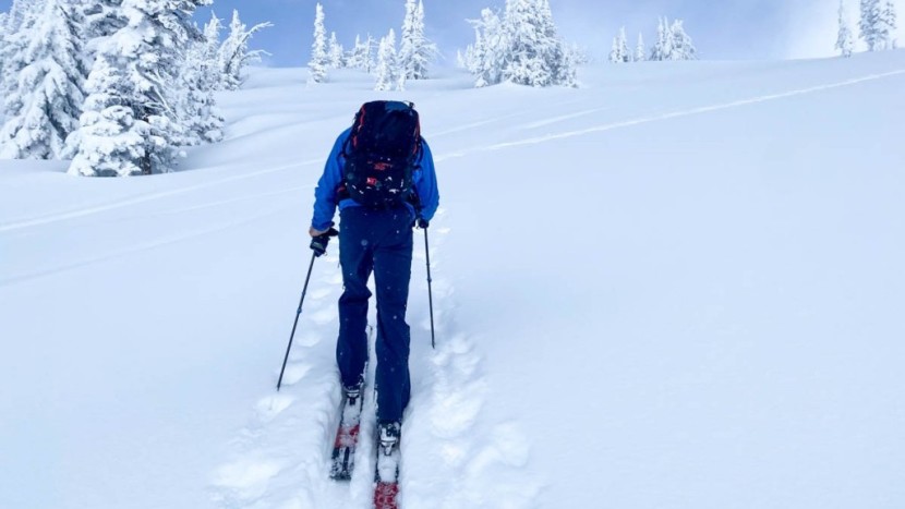 movement alp tracks 100 - daily powder touring, as conducted by the teton ski guides on our...