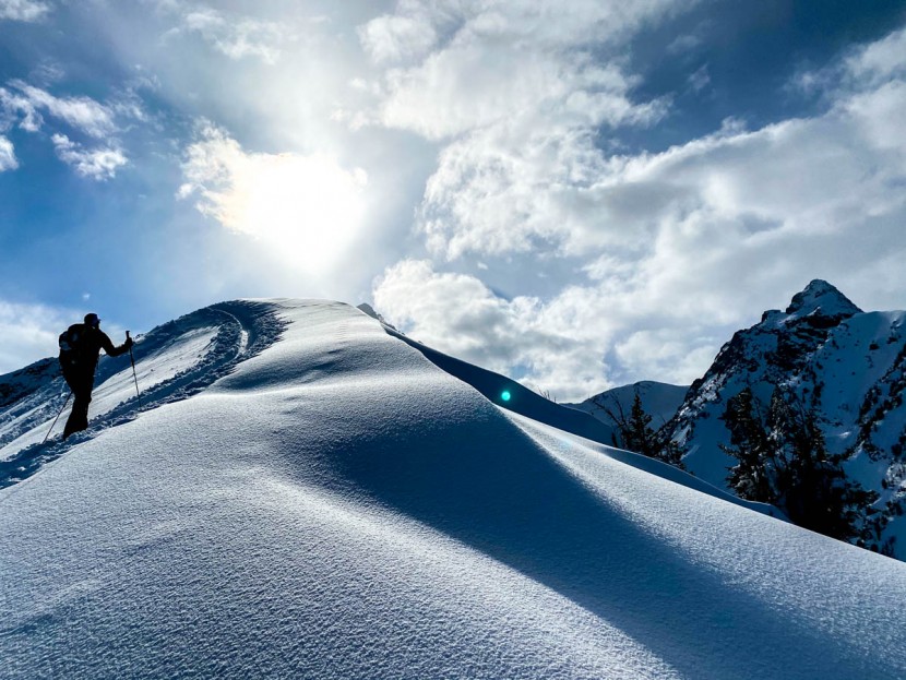 plum pika - the plum pika is great for all around ski touring and ski...