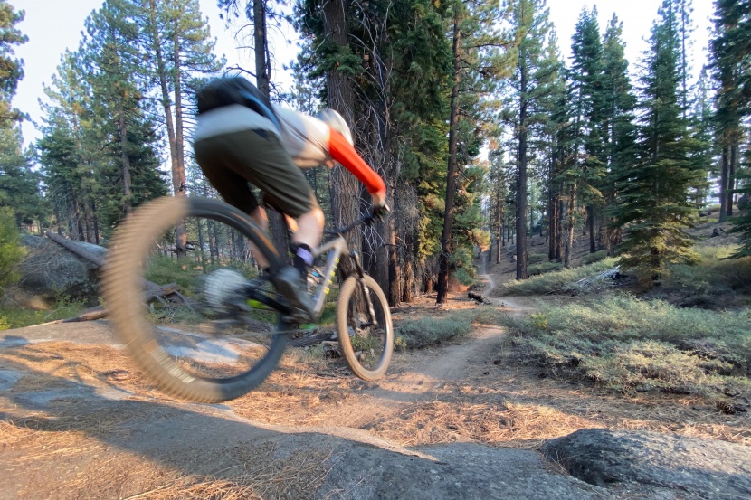 continental der kaiser projekt protection apex - the der kaiser is a great option for aggressive trail riders and the...