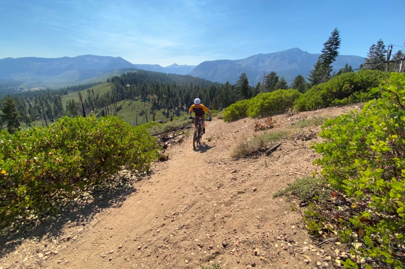 vittoria mazza - it&#039;s not the fastest rolling tire out there, but considering its...