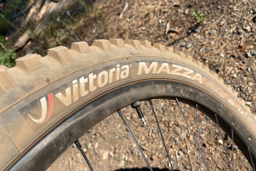 vittoria mazza - these sidewalls have been through hell and they look no worse for...
