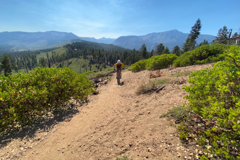 maxxis dissector - the dissector is game for any type of ride you are.