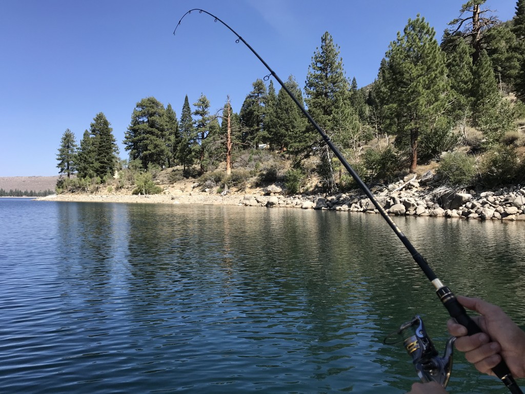 What does pound test rating actually mean on fishing line? And do you , Fishing