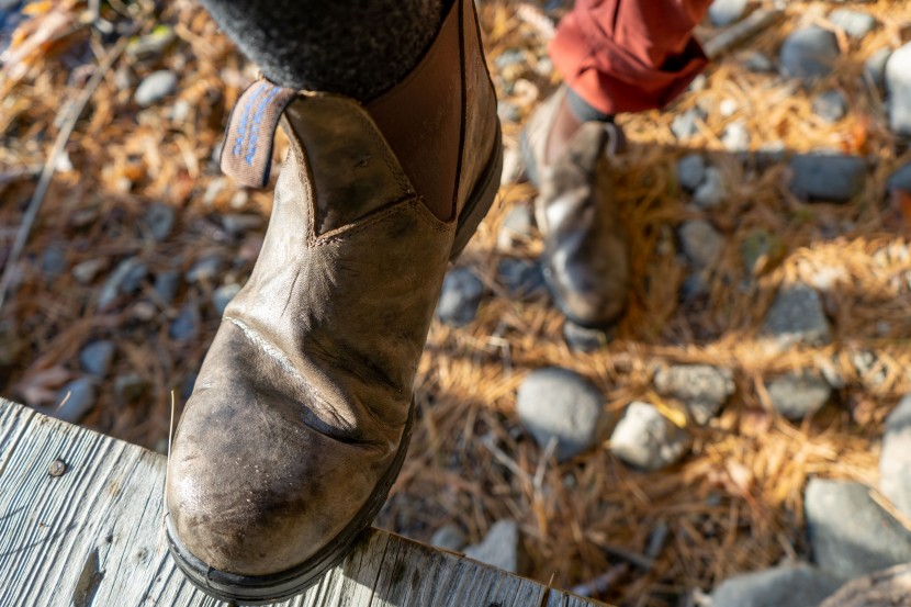 blundstone thermal chelsea - the leather will break in; just give it a week or two of use.