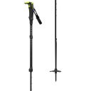 backcountry ski poles
