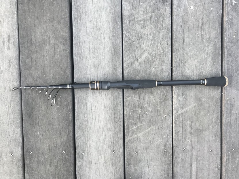 fishing rod - if you want a very versatile fishing rod that travels well, the...