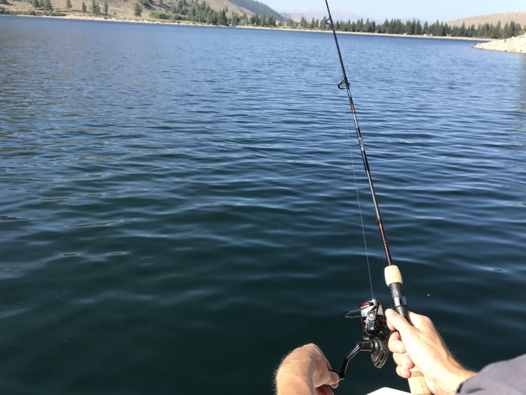 Mini Fishing Rods Pocket Telescopic Fishing Pole for Lakes Reservoirs  (Blue)