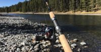 fishing rod