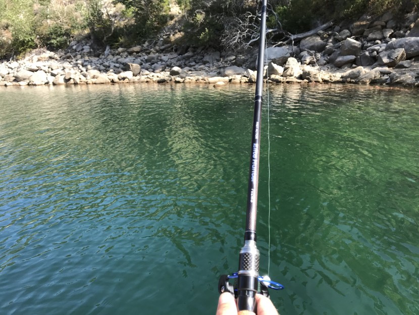 fishing rod best quality