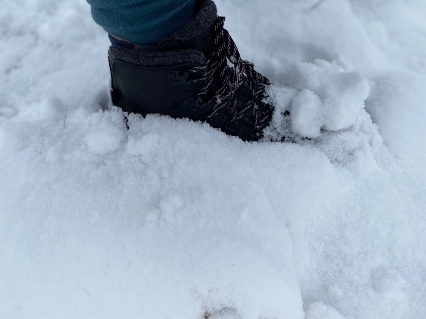 danner mountain 600 insulated for women - cold snow? no problem, this hiking boot offers plenty of warmth.
