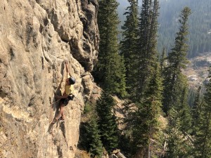 black diamond vision mips