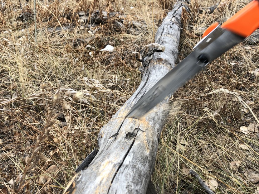 folding saw - the rexbeti tears through larger branches.