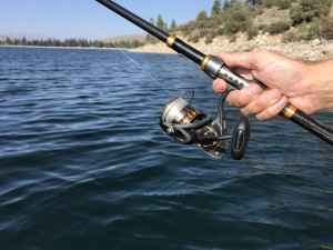 Building the MOST EXPENSIVE Spinning Combo (Creek Fishing