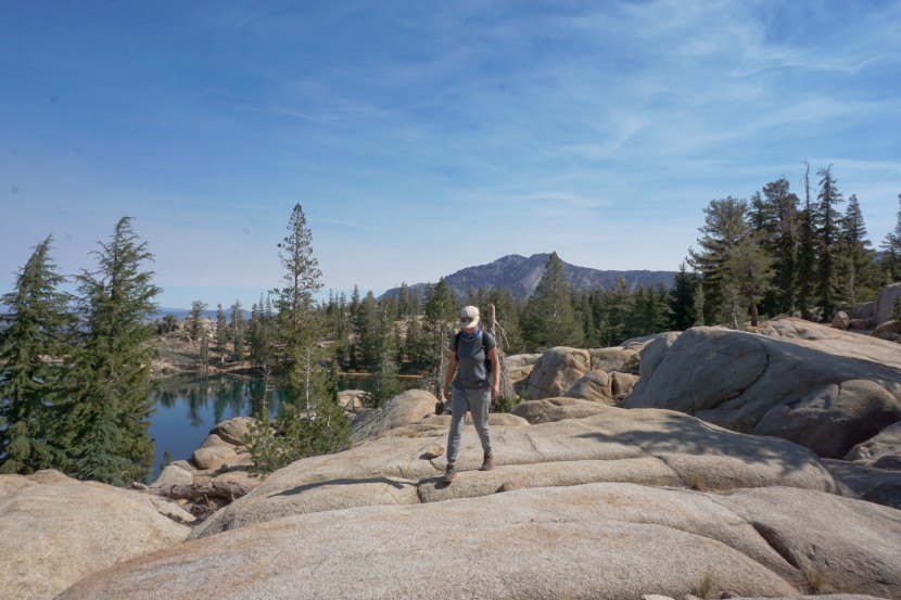 sweatpants womens - the legging depot jogger&#039;s soft, stretchy fabric is easy to move in.