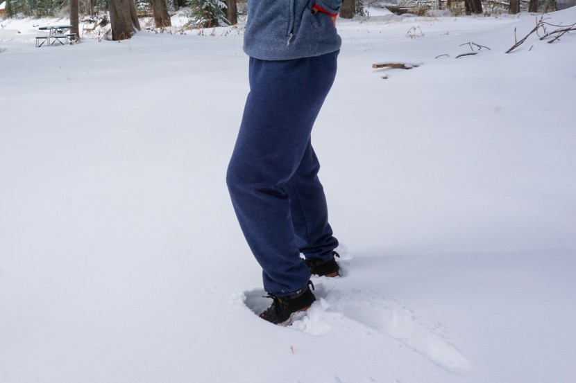 sweatpants womens - the hanes model is made of soft materials, but the cut runs large.