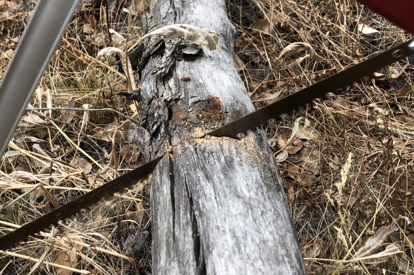 folding saw - the sven saw&#039;s imported swedish steel blade tears through logs.