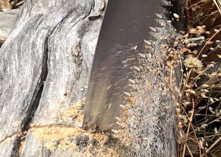 folding saw - the corona outperforms the rest, with sawdust flying.