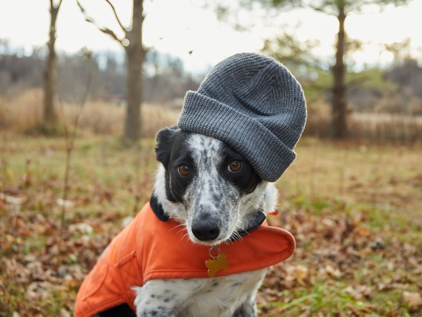 when we say we test all head sizes, we mean it. the satinior trawler...