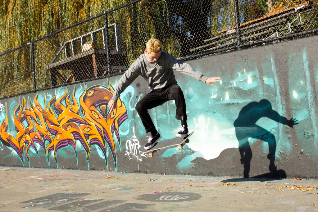 adidas Skateboarding 3MC | Best skateboard shoes, Globe skate shoes, Adidas  skateboarding