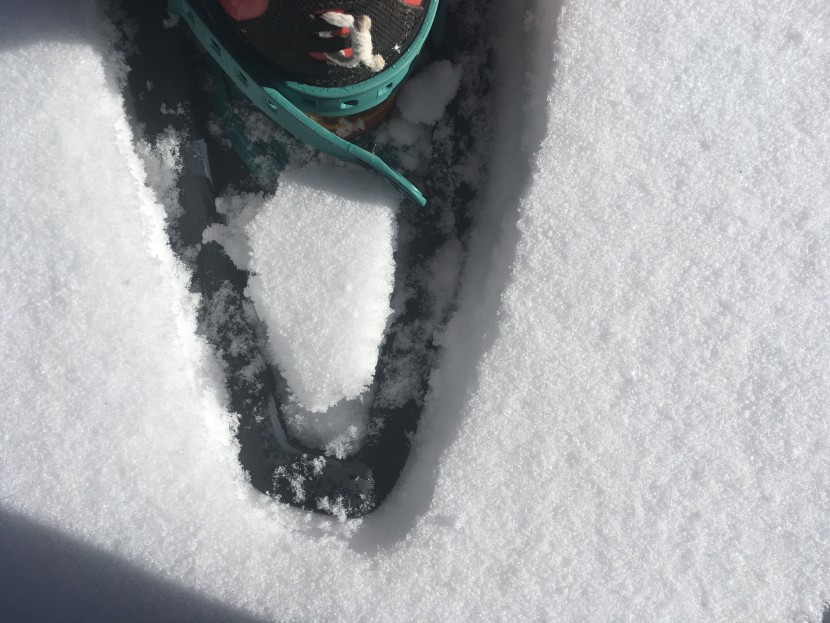 evvo snowshoes - this cutout in the tail does nothing for flotation, effectively...