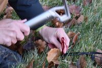 Gauging the ease of installation with the hammer for the MSR Mini.