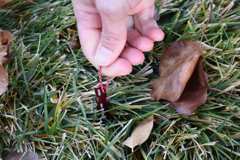tent stakes - removing the msr mini from firm ground by its pull cord, a...