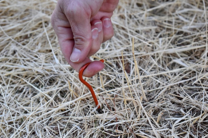 tent stakes - the shepherd&#039;s hook design of the vargo ti allows for easy removal...