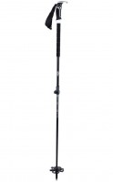 backcountry ski poles