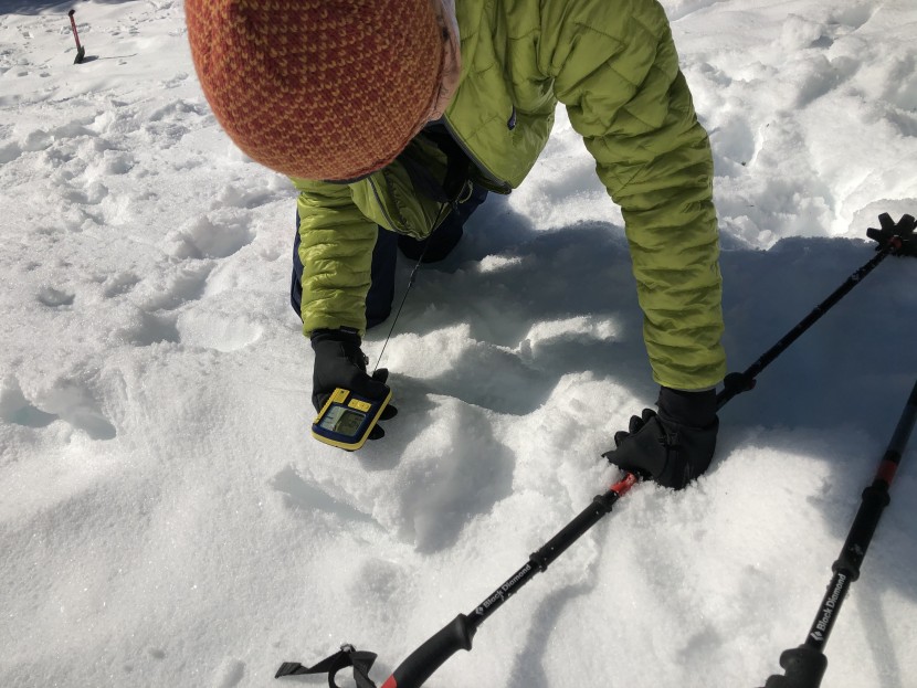 pieps powder bt - the powder bt proved to be one of the easier and more intuitive...