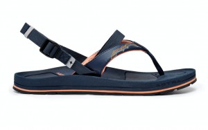 Product photo of Astral Rosa