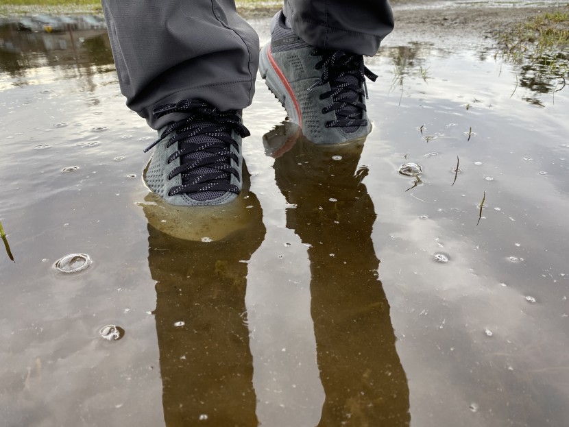 danner trail 2650 gtx - as long as you stay below the 2.75-inch threshold, the gore-tex...