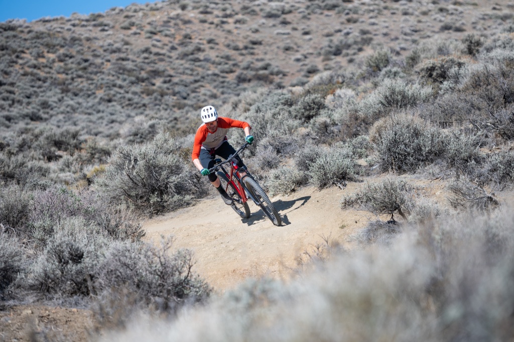 The 10 Best Hardcore Hardtails for Getting Rowdy - Singletracks Mountain  Bike News