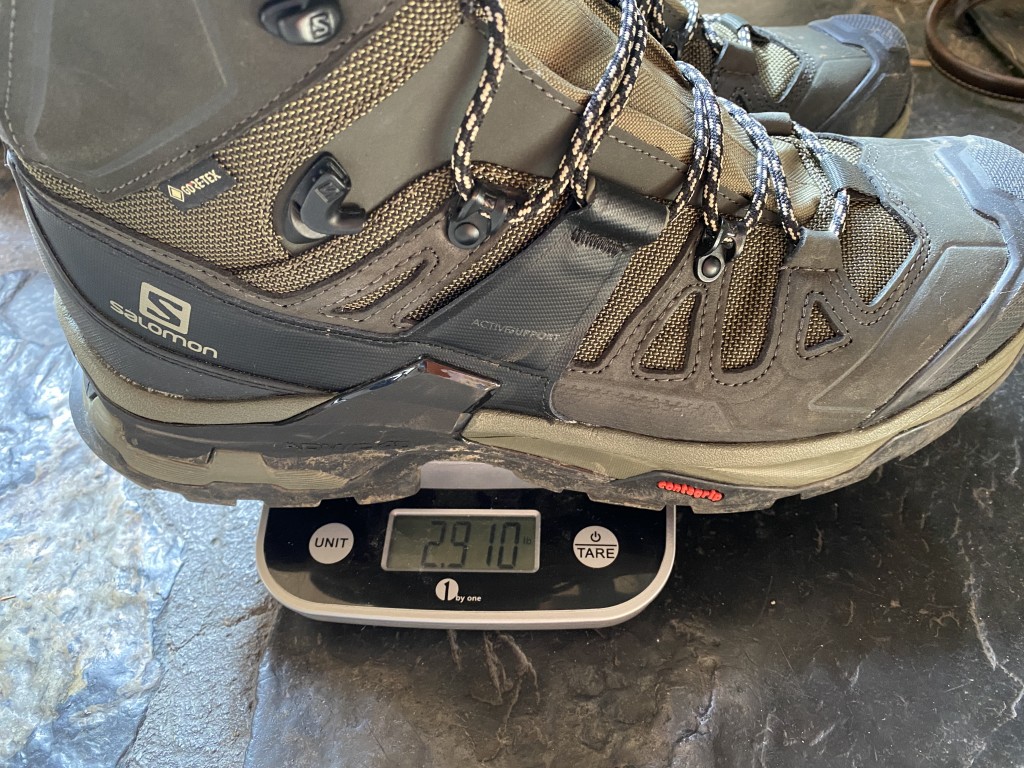 Salomon Quest 4D Mid GTX 4 Hiking Boots for Men