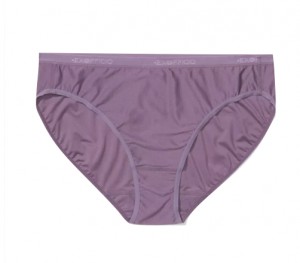 Women's Ridge Bikini Brief - Merino Wool Underwear