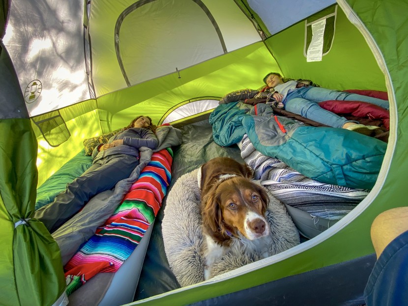 best 4 man tent