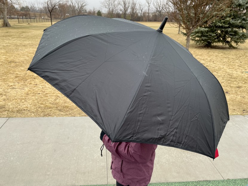 betterbrella deluxe - the canopy diameter is still quite large despite its shallow depth...