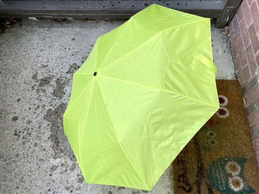 lewis n. clark travel - the version we tested is super bright, which can either be fun or...