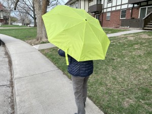 Product photo of Lewis N. Clark Travel