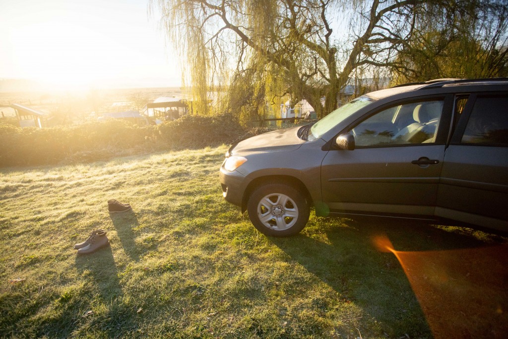 rain boots - testing rain boots at dawn on a farm outside seattle.