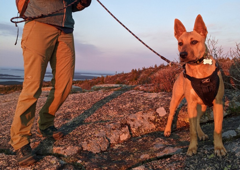 arc&#039;teryx palisade pant for women - the arc&#039;teryx palisade pants breathe really well while blocking cold...