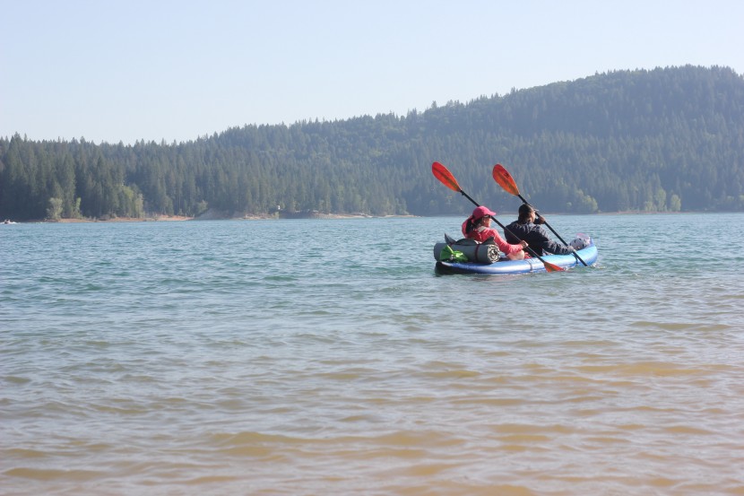 carlisle magic plus - if you have to buy two paddles for a tandem kayak, the economy of...