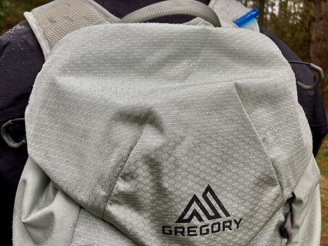 gregory nano 18 h2o - we were pleasantly surprised at how well the pack shed light rain.