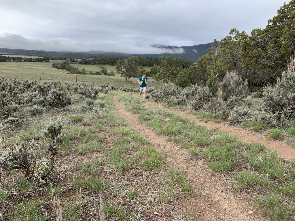 ultimate direction marathon v2 high beam - come hunting season, it&#039;s good to really pop against the landscape.