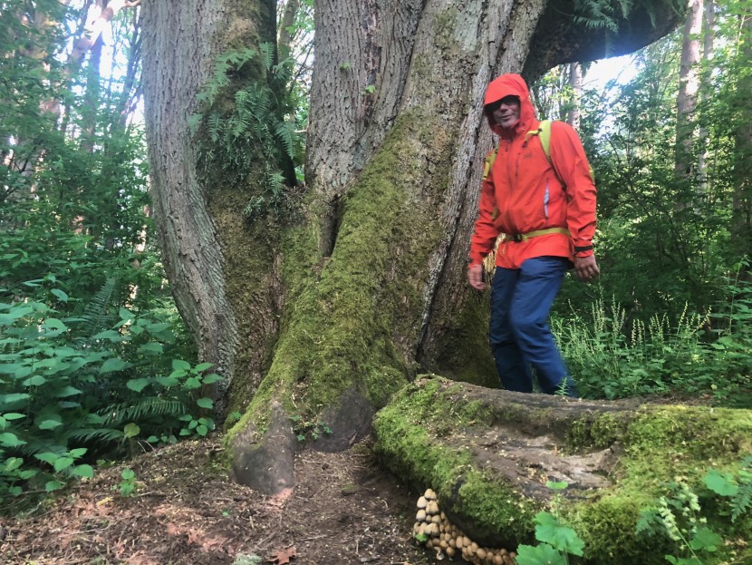 rei co-op stormbolt gtx - while you can buy a rain jacket for roughly half the price of this...