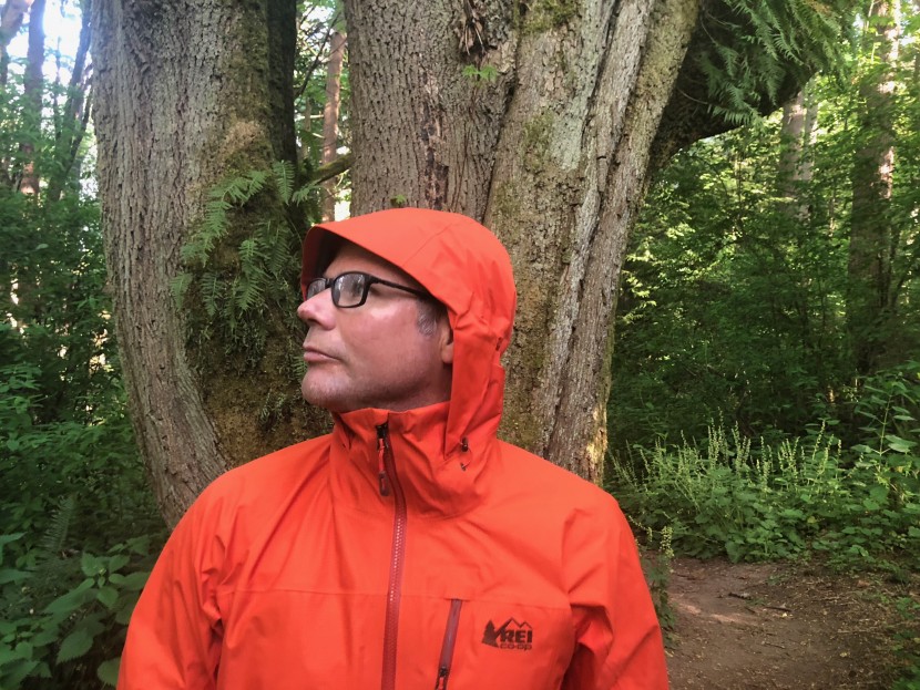 rei co-op stormbolt gtx - the stormbolt's well-designed hood maintains excellent peripheral...