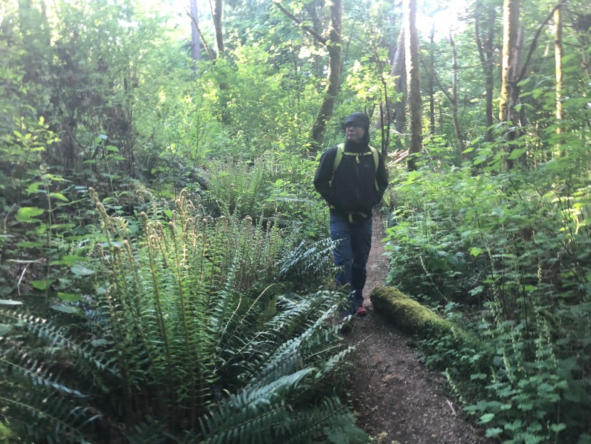 rei co-op xerodry gtx - if you are looking for the best possible model without breaking the...