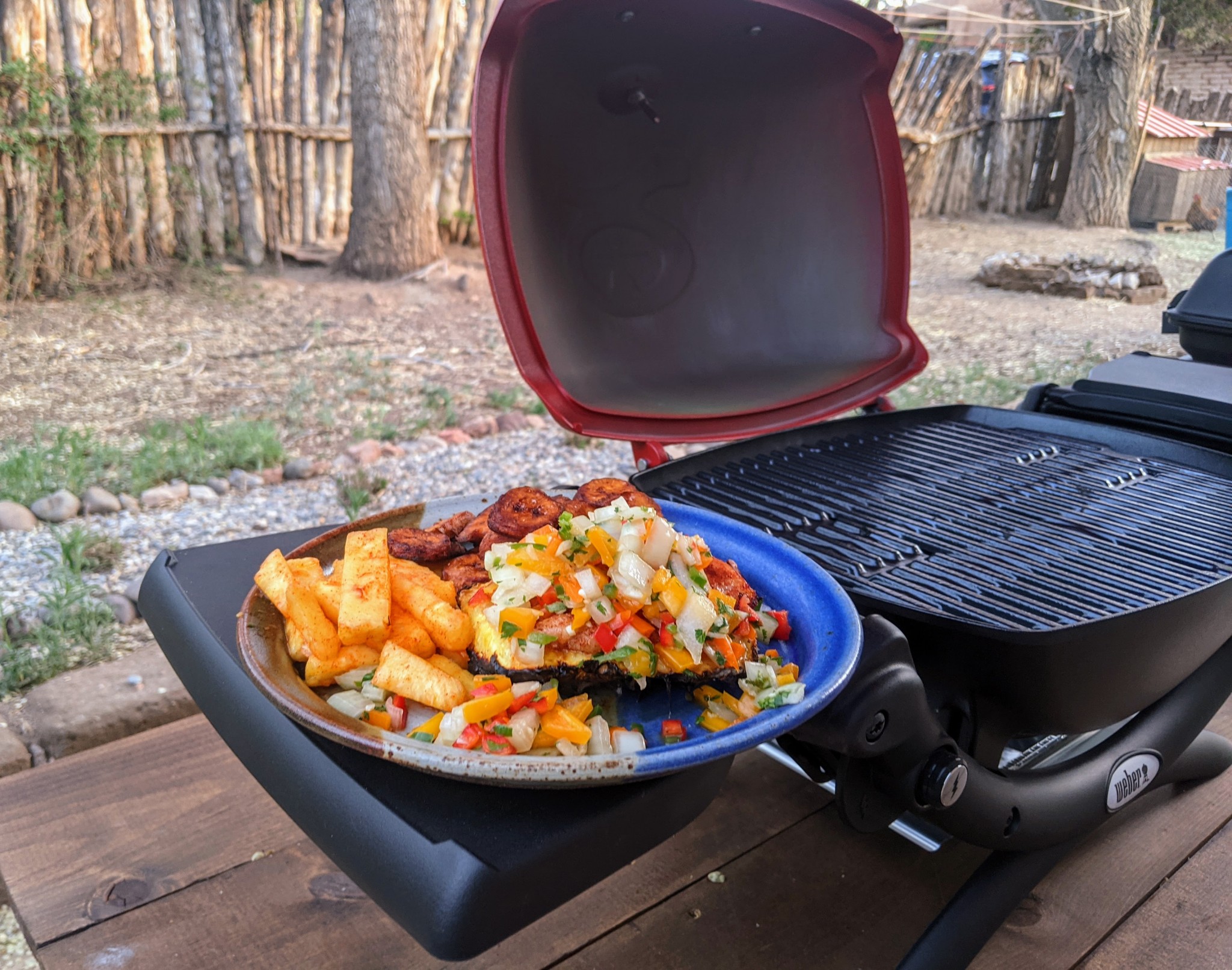 Weber Q 1200 Review | Tested & Rated