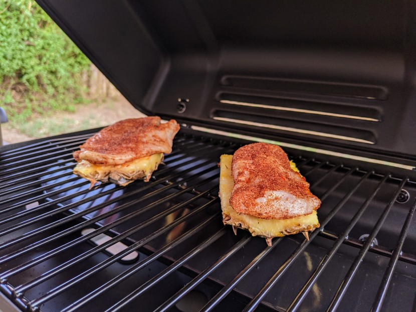char-broil 240 portable - you wouldn&#039;t know it from the frame of this photo, but these are...