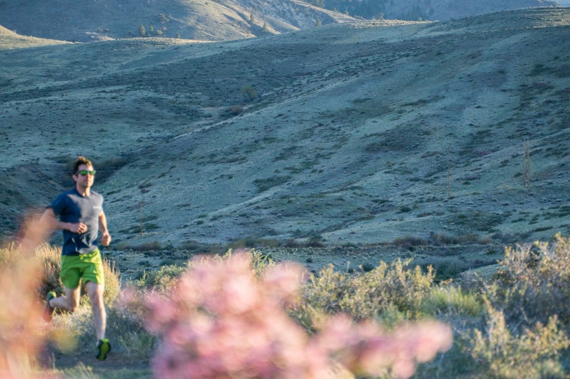 swiftwick maxus one - long days in the heat require a breathable sock. these fit the bill...